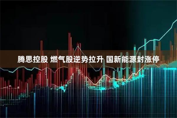 腾思控股 燃气股逆势拉升 国新能源封涨停