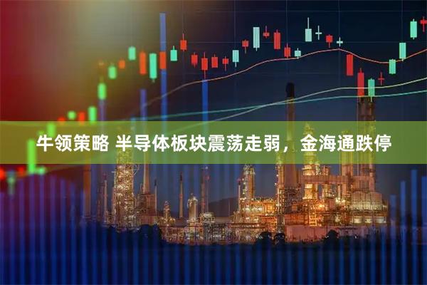 牛领策略 半导体板块震荡走弱，金海通跌停