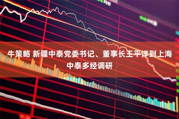 牛策略 新疆中泰党委书记、董事长王平洋到上海中泰多经调研