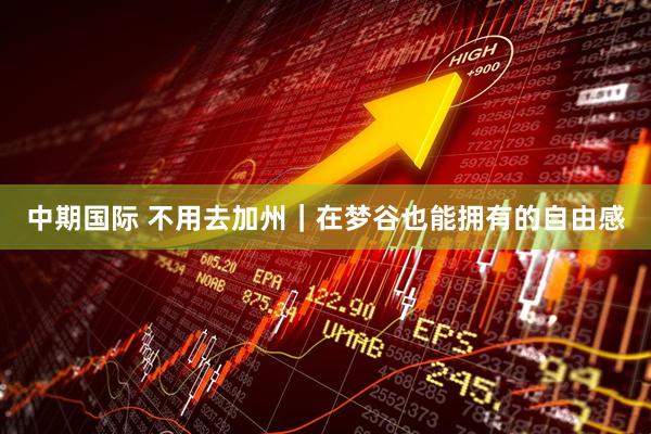 中期国际 不用去加州｜在梦谷也能拥有的自由感