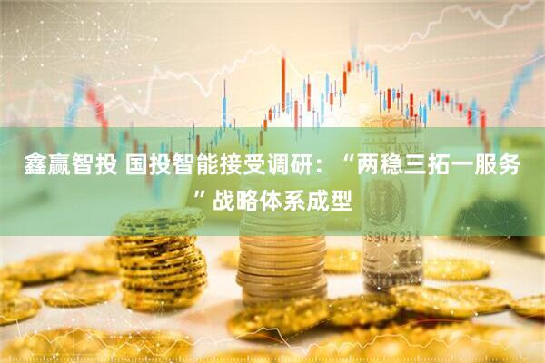 鑫赢智投 国投智能接受调研：“两稳三拓一服务”战略体系成型