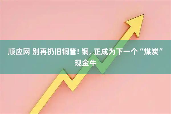 顺应网 别再扔旧铜管! 铜, 正成为下一个“煤炭”现金牛
