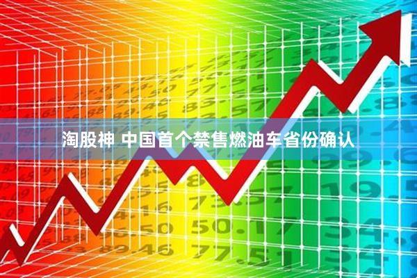 淘股神 中国首个禁售燃油车省份确认