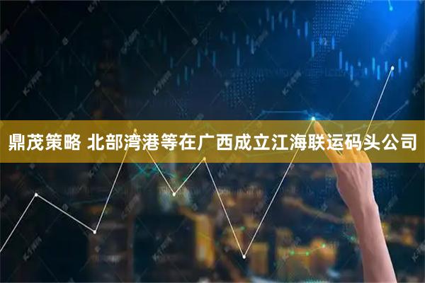 鼎茂策略 北部湾港等在广西成立江海联运码头公司